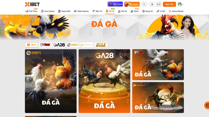 Các sảnh đá gà nổi tiếng, chuyên nghiệp đang có mặt tại XIBET 