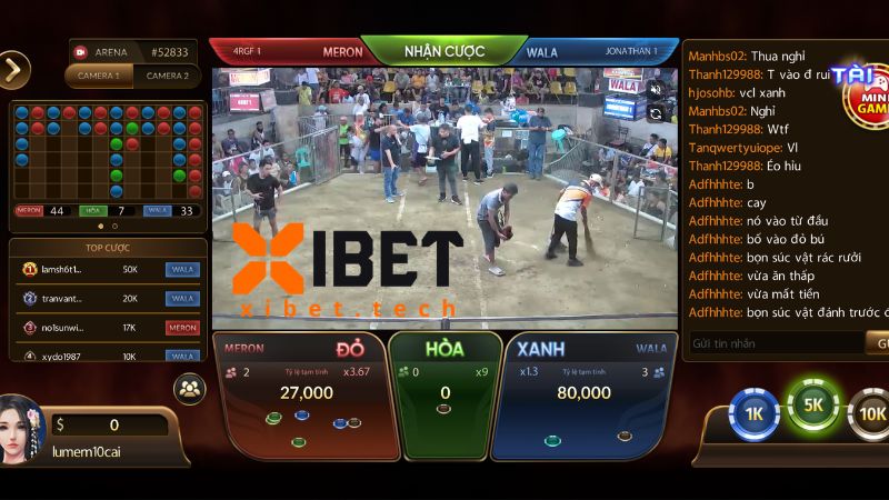 Vì sao nên chọn chơi đá gà online tại XIBET? Là kê thủ hãy khám phá