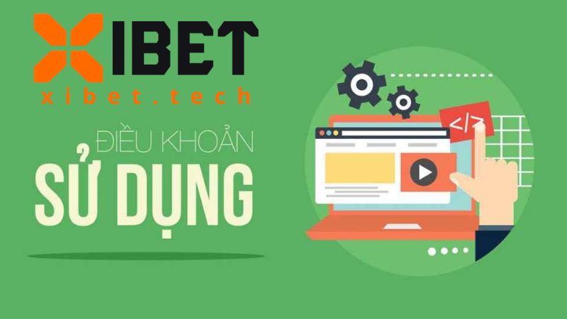 Các hình thức xử lý vi phạm điều khoản và điều kiện Xibet